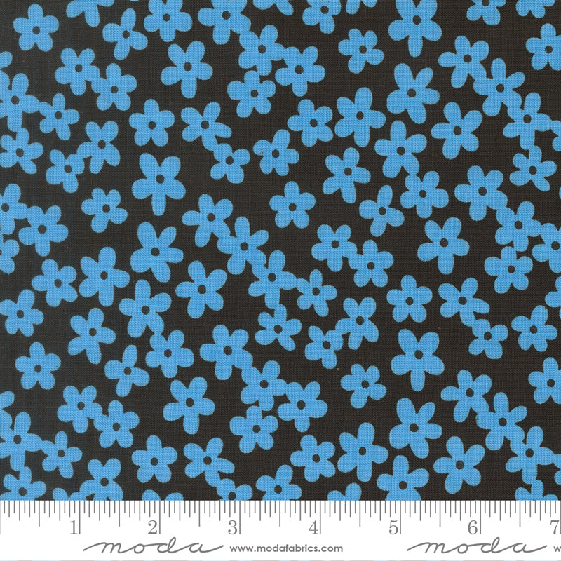 True to Hue - Petal Accent - Night Blue - 11562-24