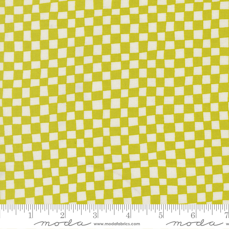 True to Hue - Checkerboard -Citronized - 11563-16