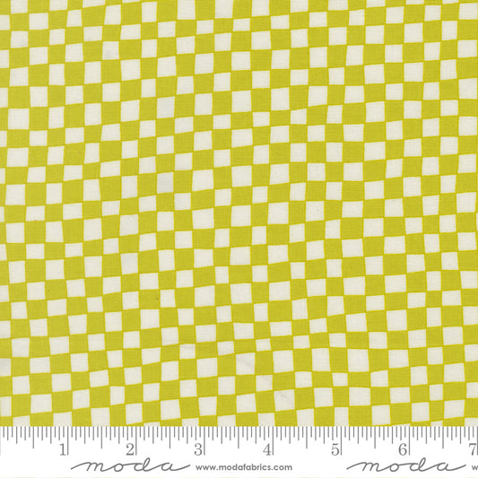 True to Hue - Checkerboard -Citronized - 11563-16