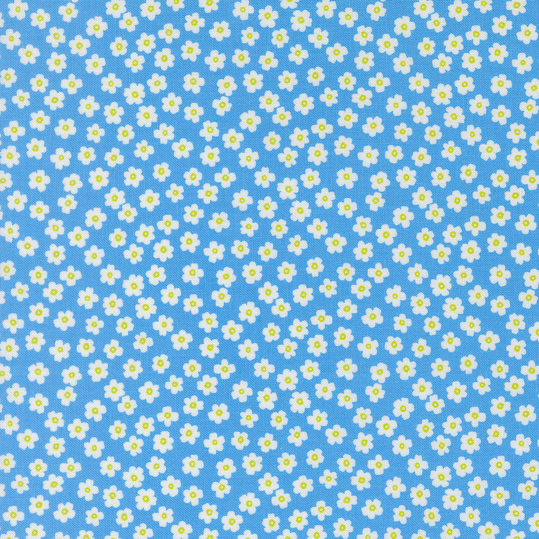 True to Hue - Petal Power - Blue My Mind - 11566-14