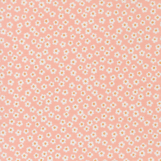 True to Hue - Petal Power - Blush - 11566-18