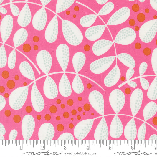 Balisong Fern Fiesta in Hibiscus - SKU 11663-14