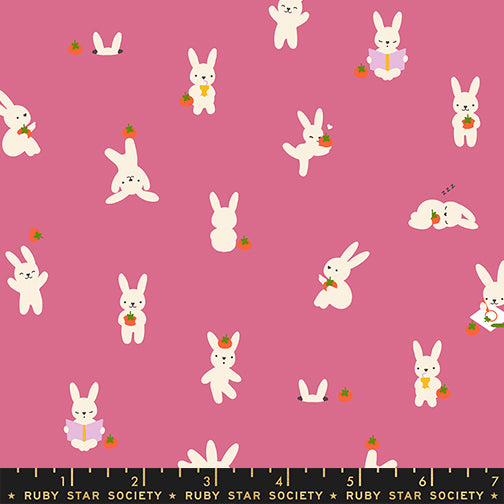 Persimmon by Rashida Coleman Hale for Ruby Star Society - Bun E & Simmy - Hibiscus - RS1118-15