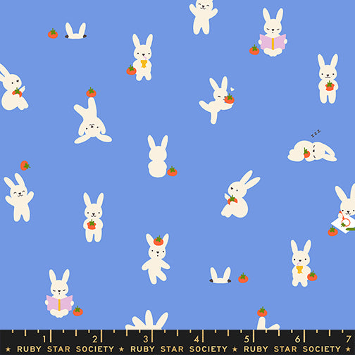 Persimmon by Rashida Coleman Hale for Ruby Star Society - Bun E & Simmy - Lindley Blue - RS1118-16